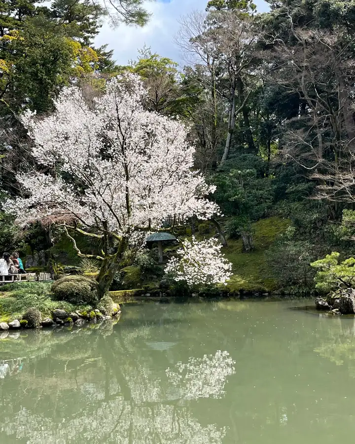 Japanese garden and water