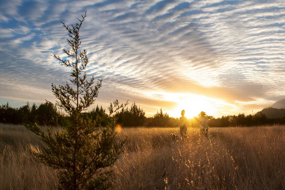 Woman exercising in a field at sunset